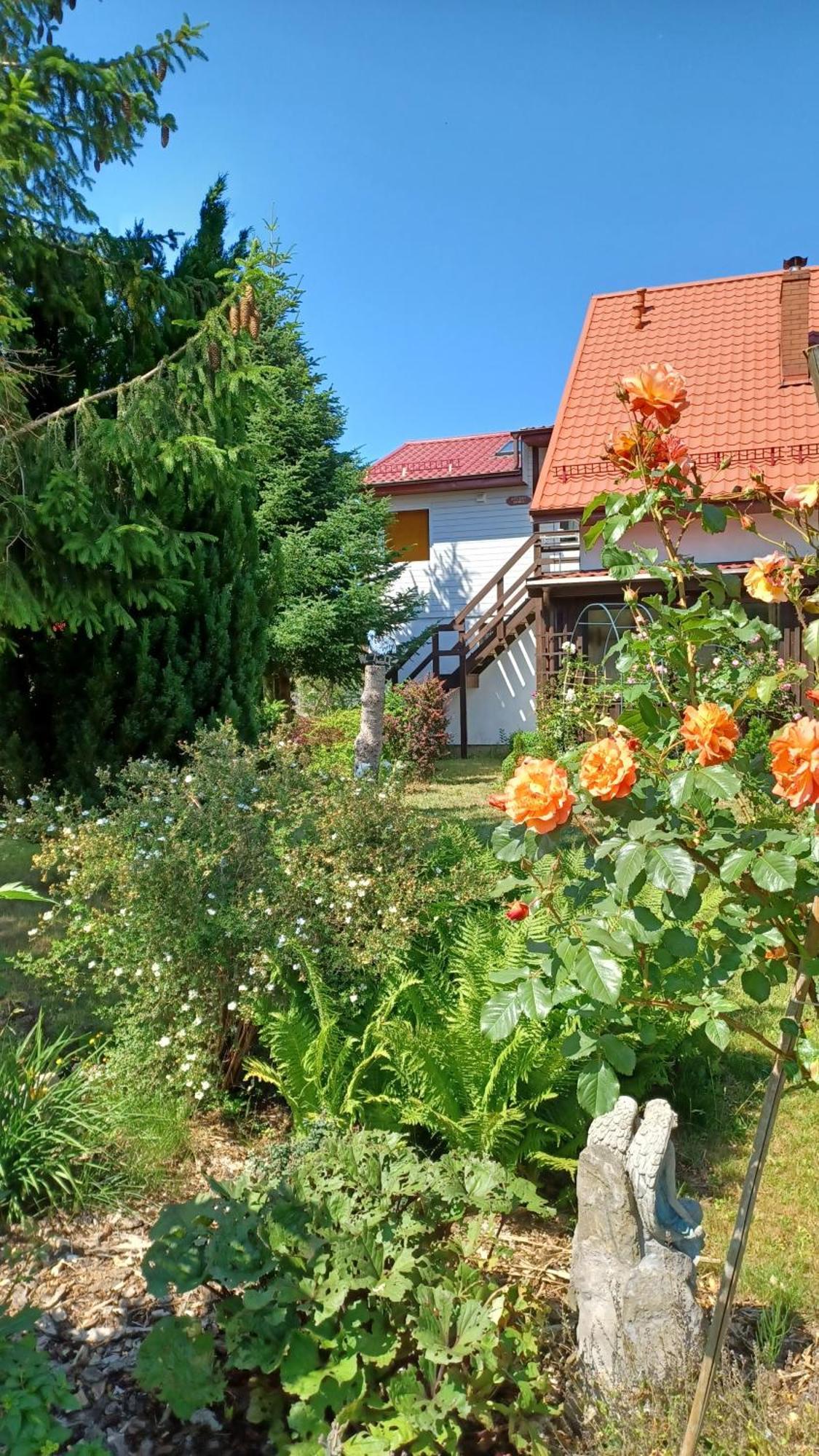 Siedlisko Wiejskie Kierzkowo (Wejherowo) Exterior foto